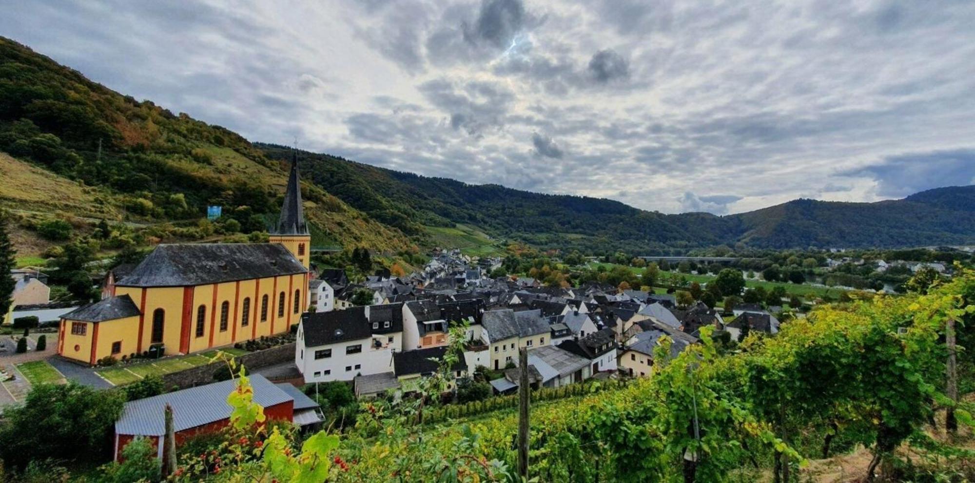 Ferienwohnung An Der Mosel, Romeo Senheim Exterior foto